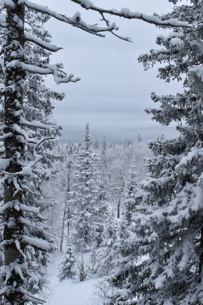 Photograph by Ольга Топорищева