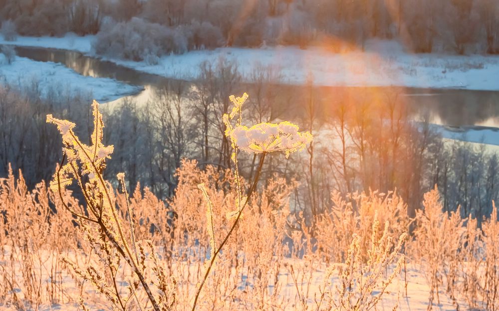 Фотография автора Олег Анатольевич Загорулько
