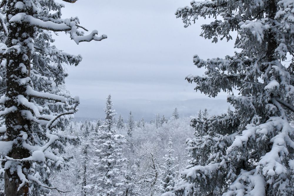 Photograph by Ольга Топорищева