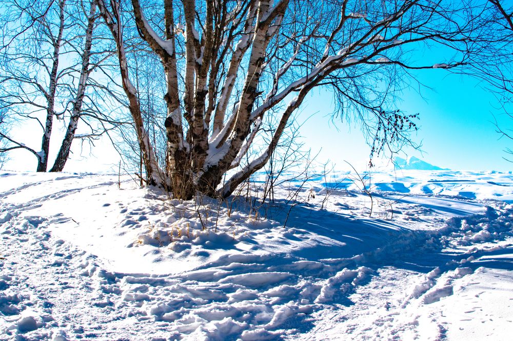 Вид на Эльбрус