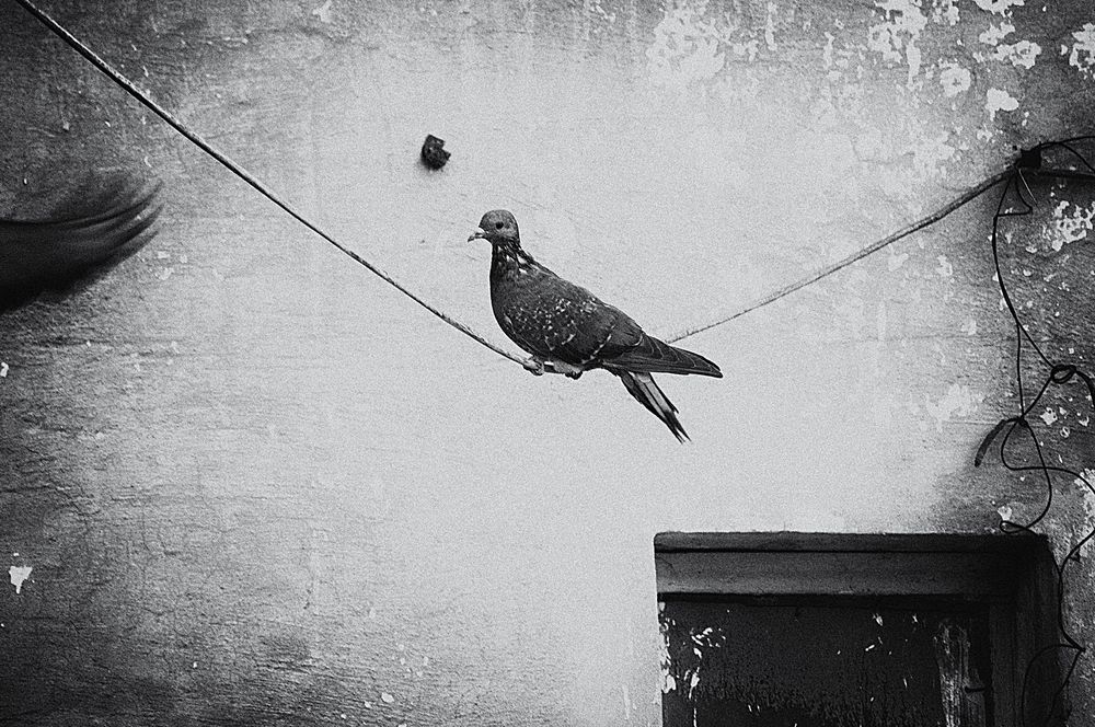 Photograph by Ольга Мальцева