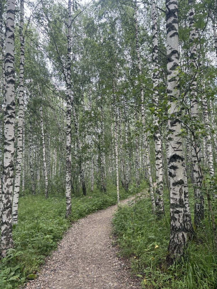 Photograph by Юлия