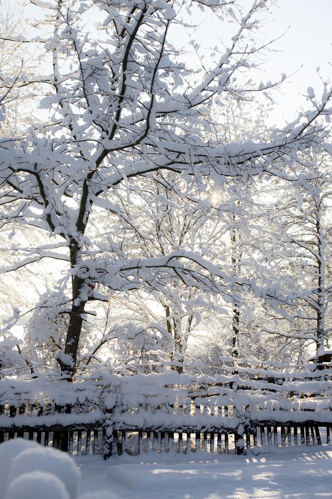 Photograph by Карина Заводчикова