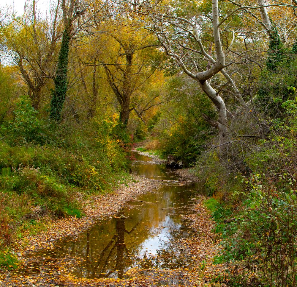 Photograph by Владимир Жигулин