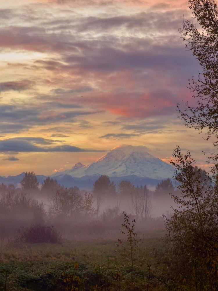 Маунт-Рейнир