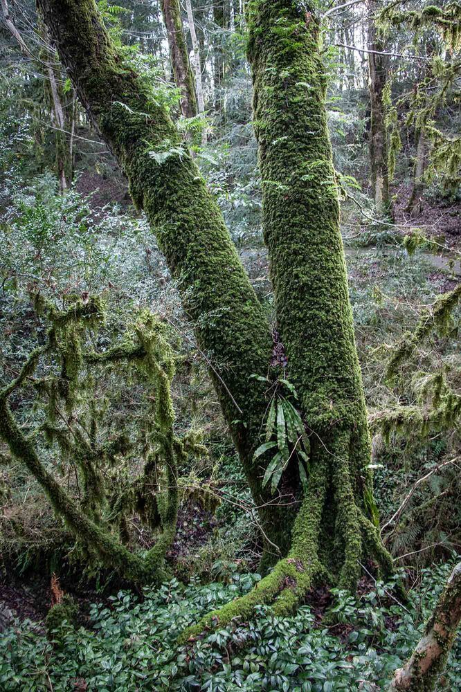 Photograph by Евгений Киселев