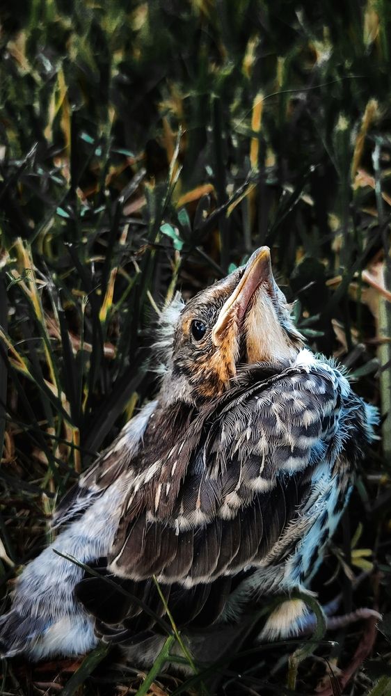 Photograph by Екатерина