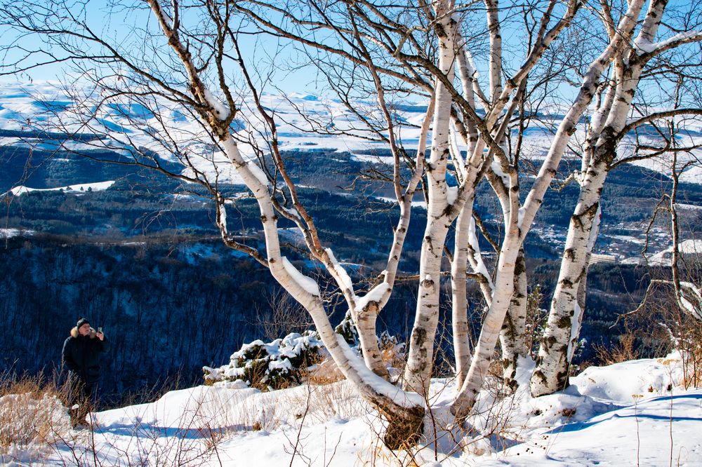 Photograph by Владимир Жигулин