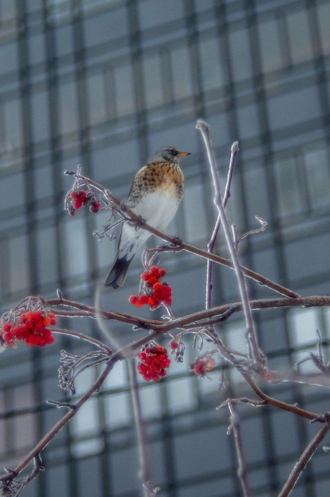 Photograph by Анастасия