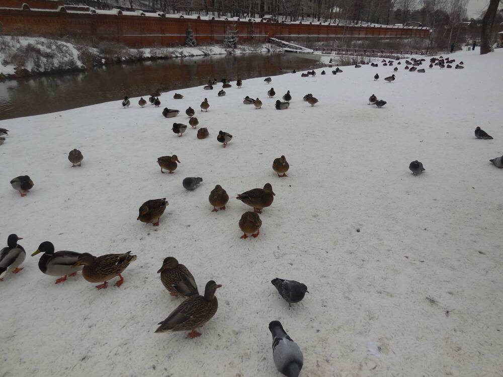 Photograph by Александр Аведов