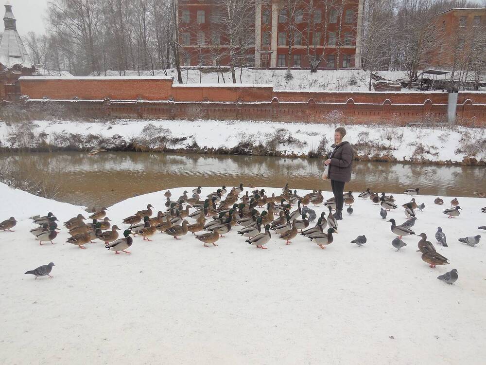 Photograph by Александр Аведов