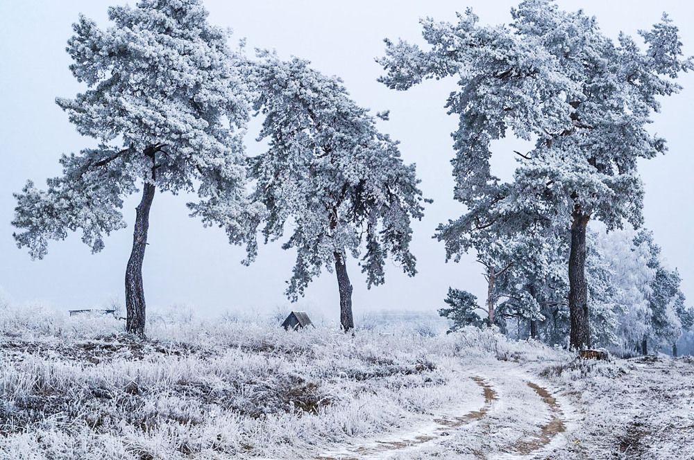 Photograph by Борис Абрамов