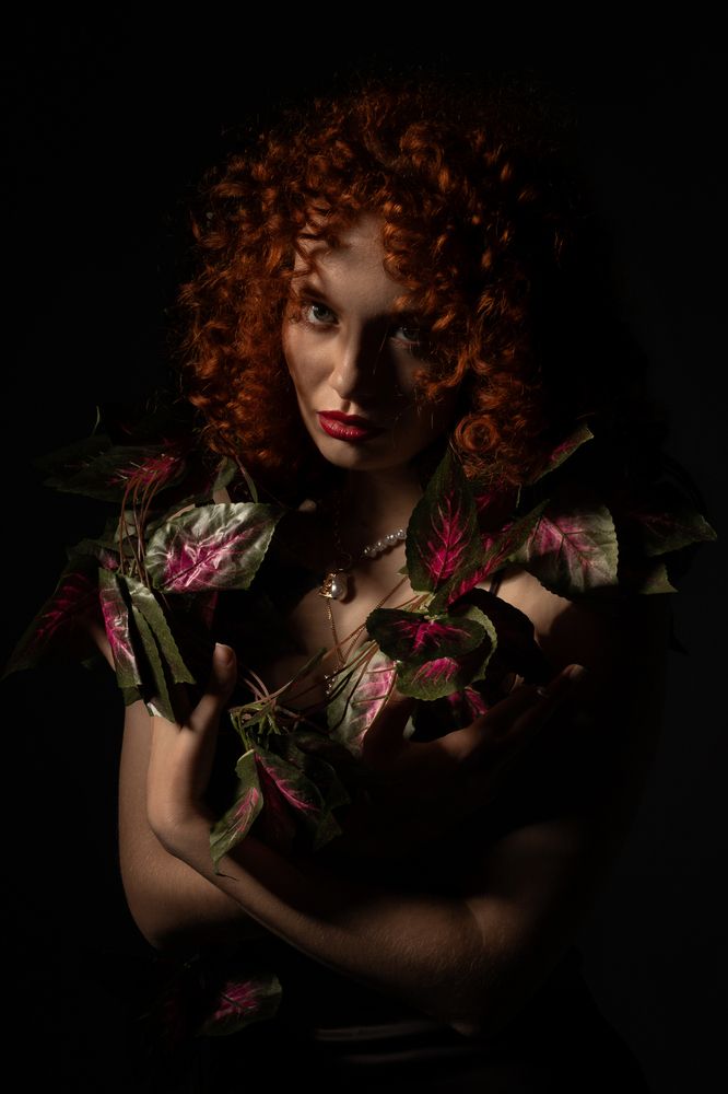 Львица в джунглях