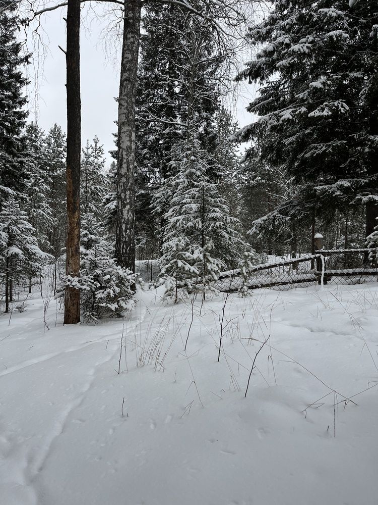 Photograph by Екатерина Усольцева