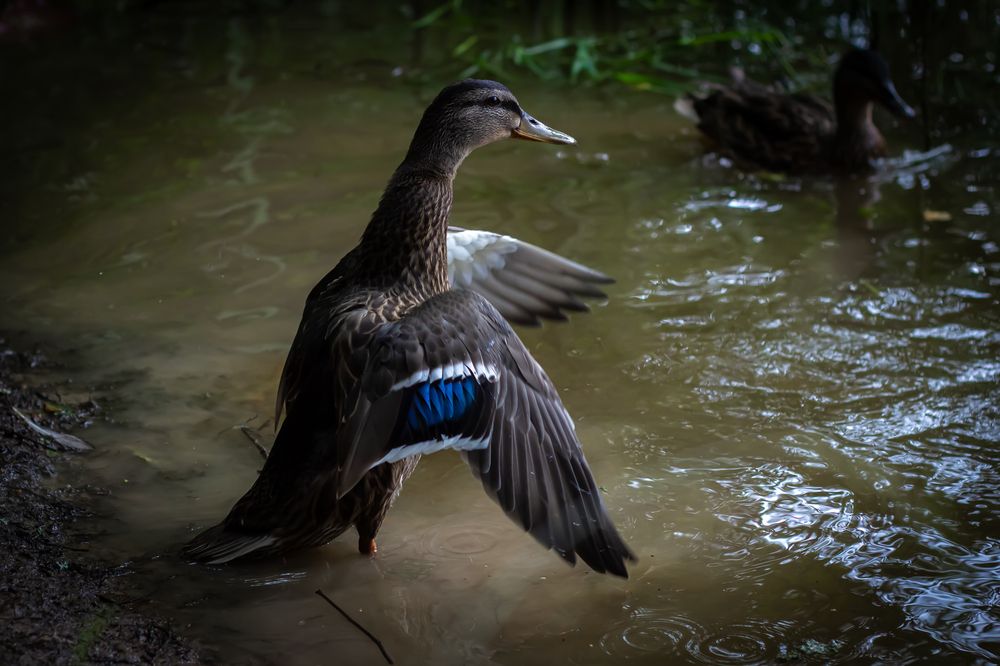 Photograph by Oleg Polyanskiy