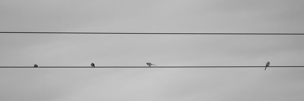 Фотография автора Кожанов Нуржан