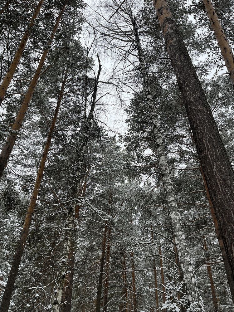 Photograph by Екатерина Усольцева