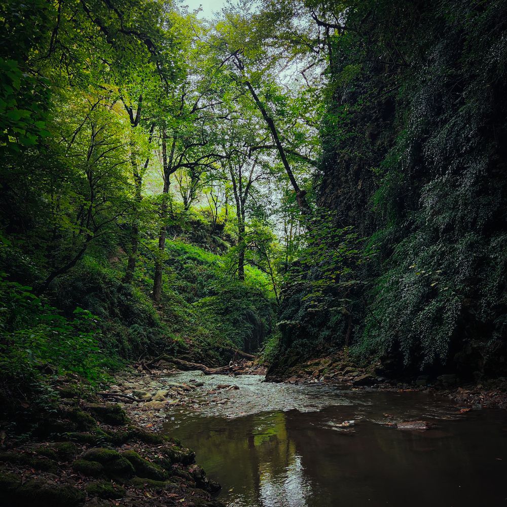 Emerald Haven