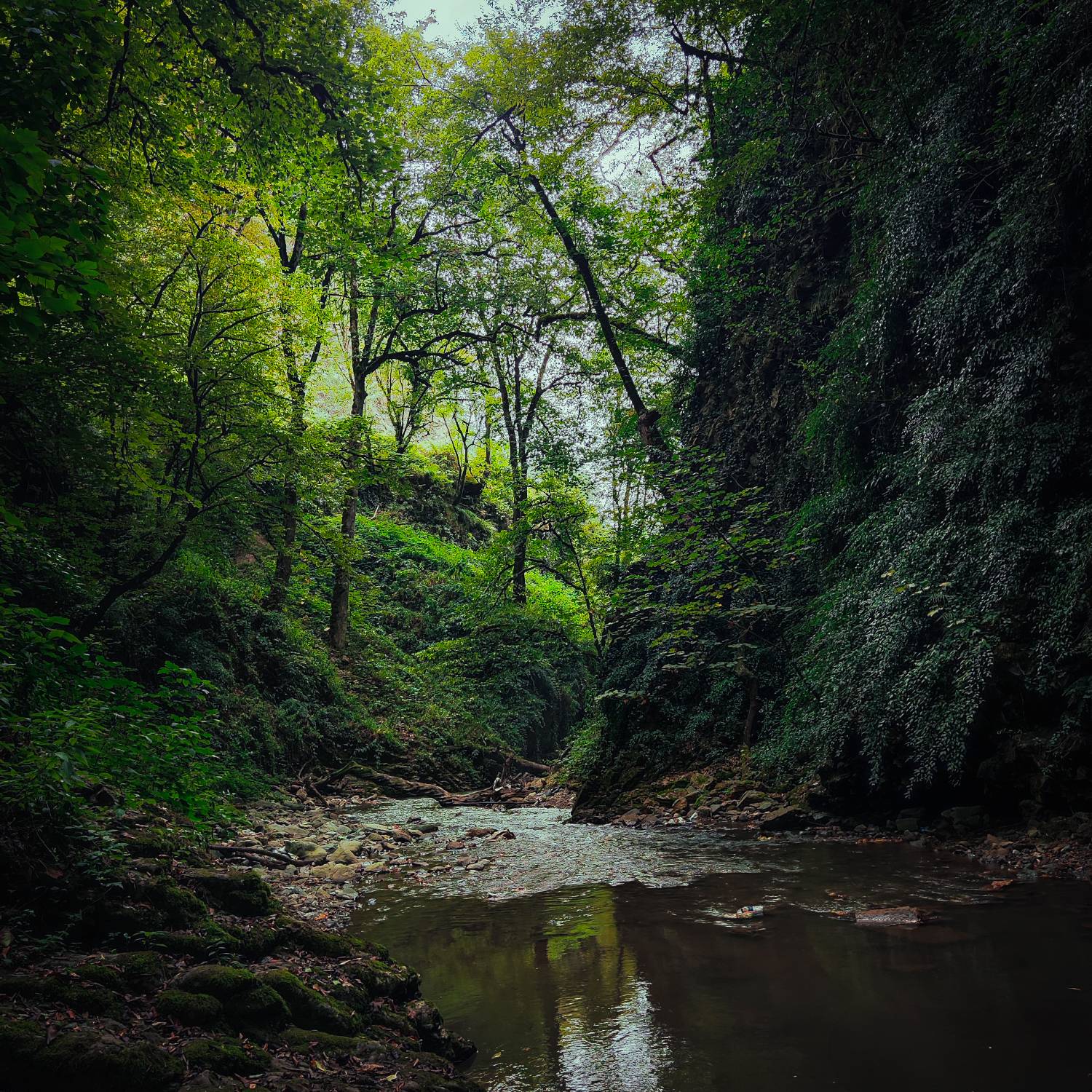 Emerald Haven