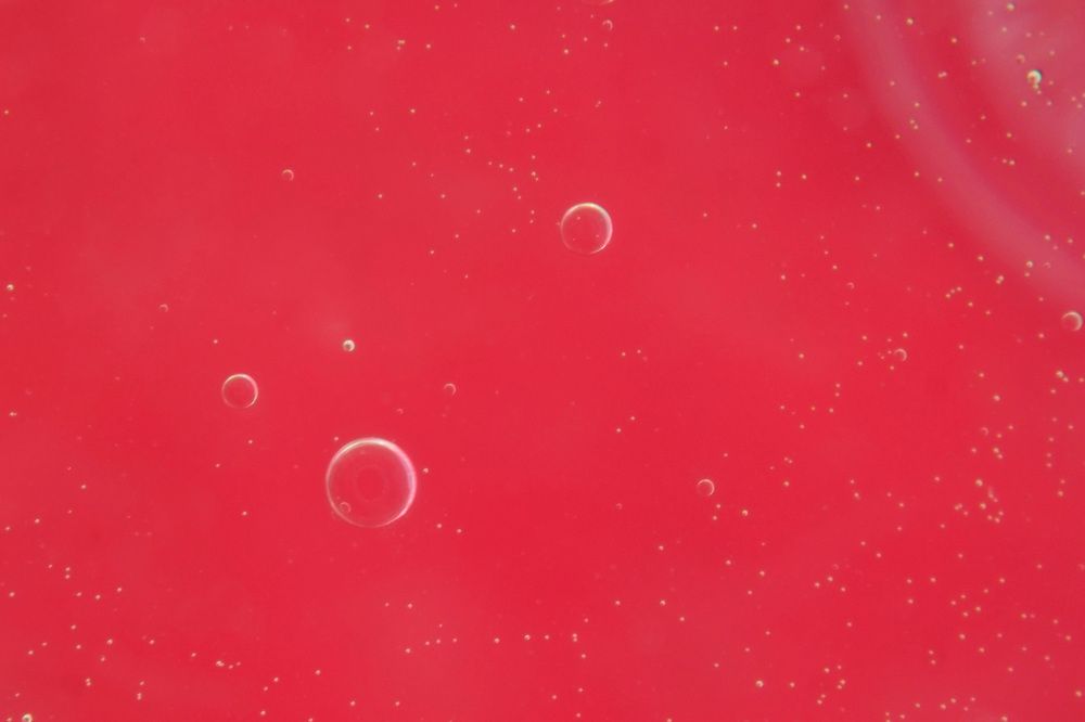 Photograph by Guillermo Topp