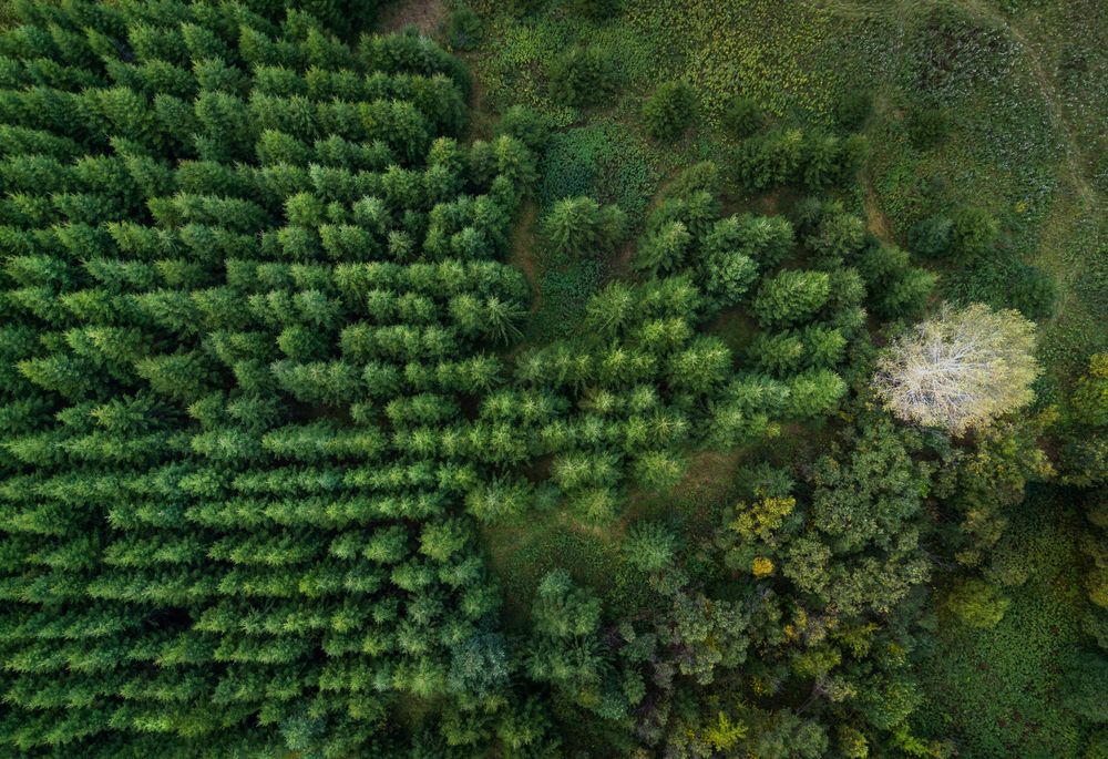 Photograph by Василий Яковлев