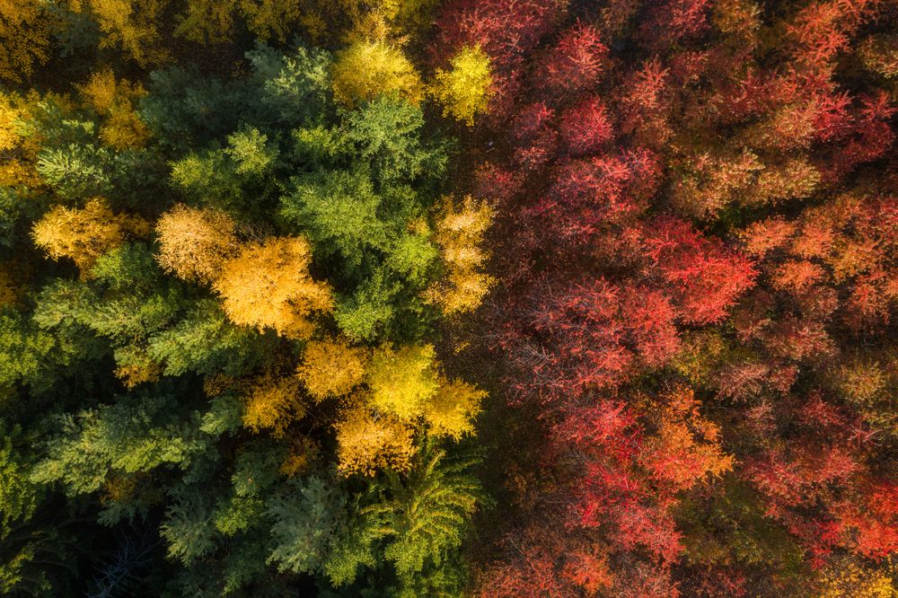 Photograph by Василий Яковлев