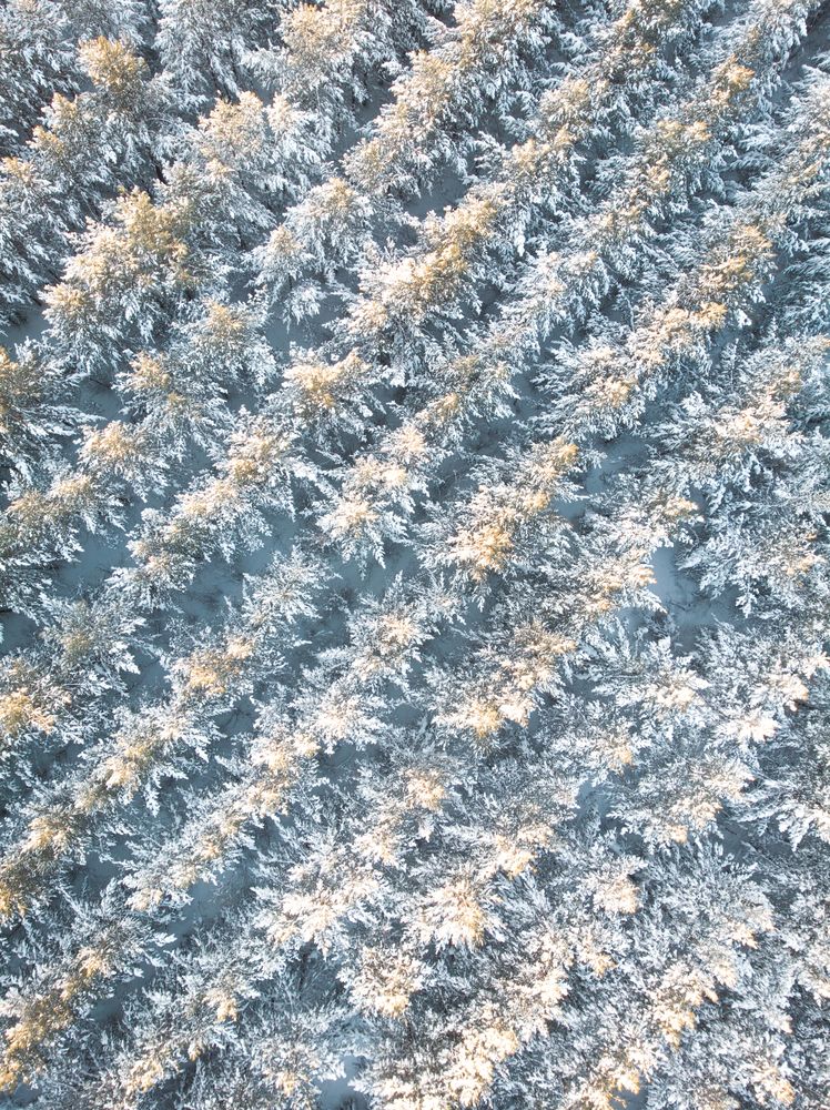 Фотография автора Руслан Токмагамбетов