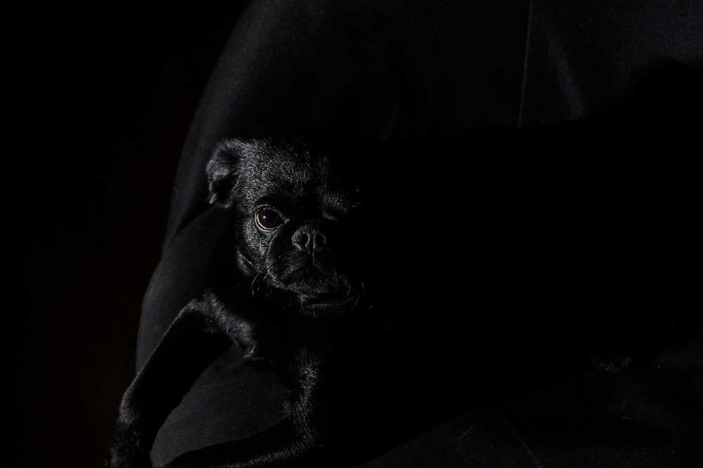 Photograph by Ирина Бехтерева