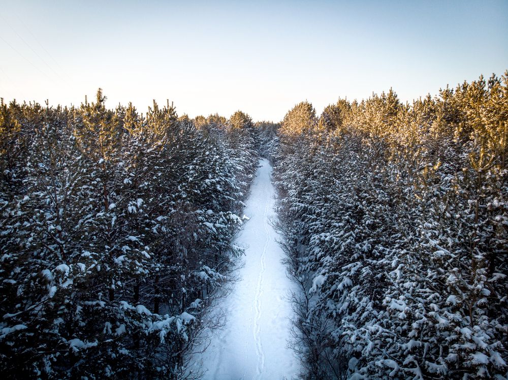 Фотография автора Руслан Токмагамбетов