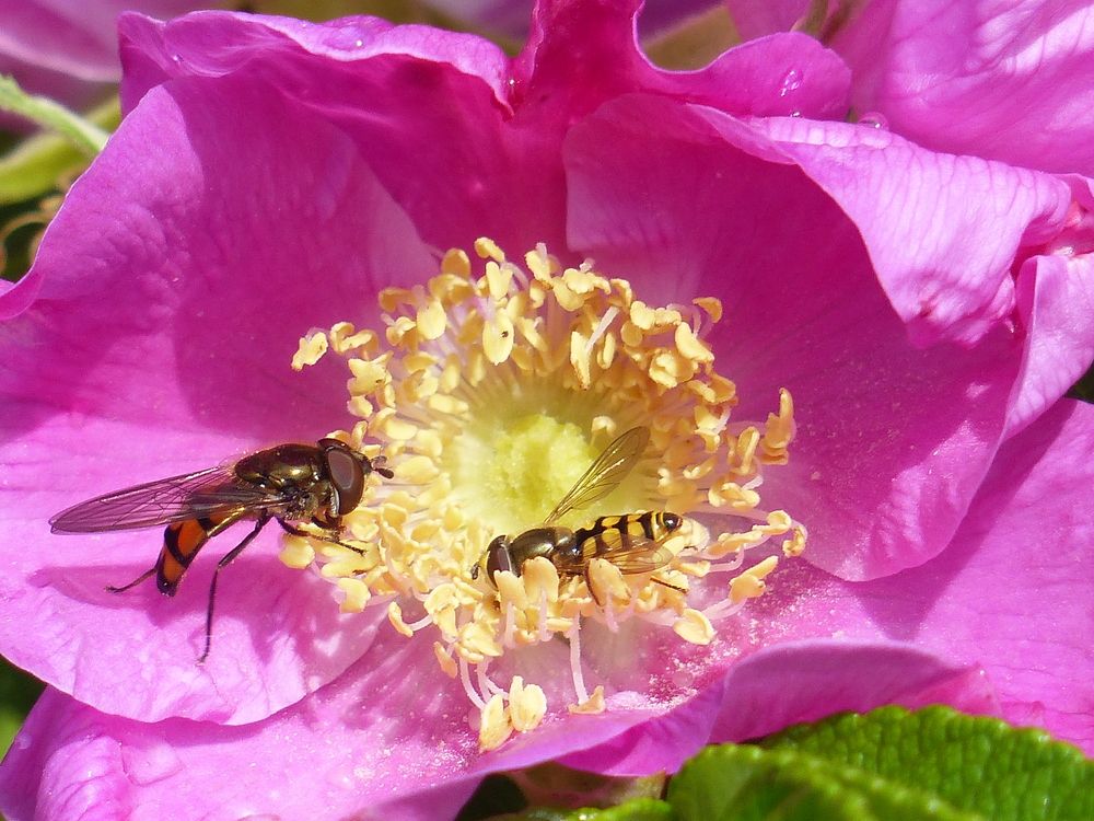 Photograph by Георгий Салюков