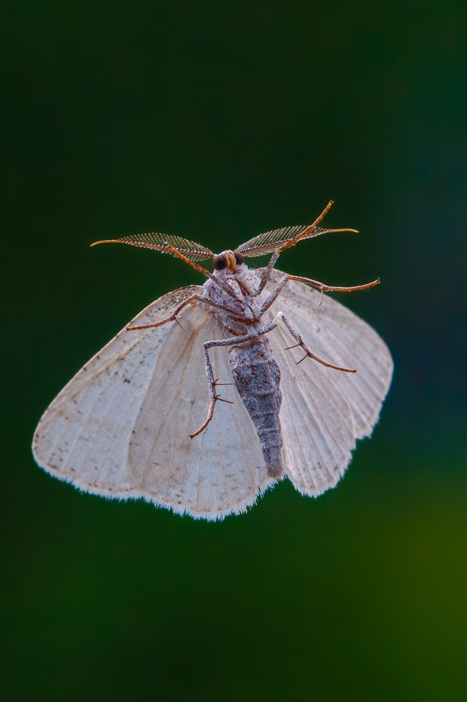 Фотография автора Мария Парамиди