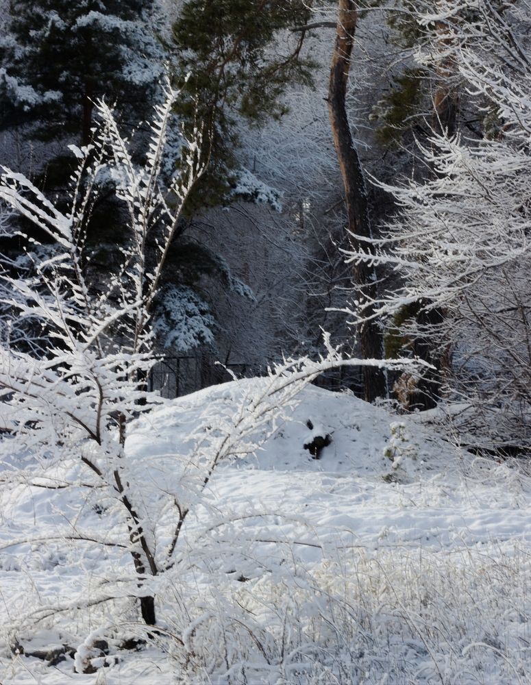 Photograph by АЛЛА ТАРАСЕНКО