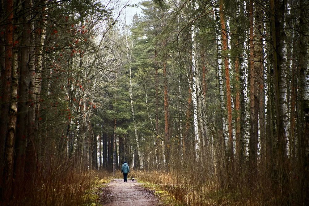 Photograph by Yana Egorova