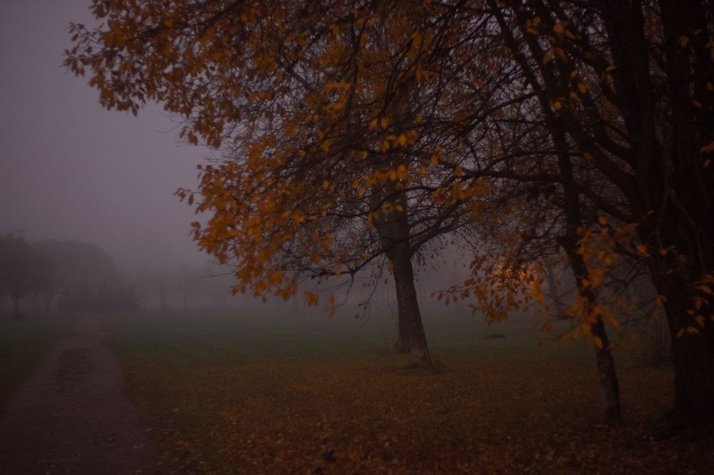 Photograph by Yana Egorova