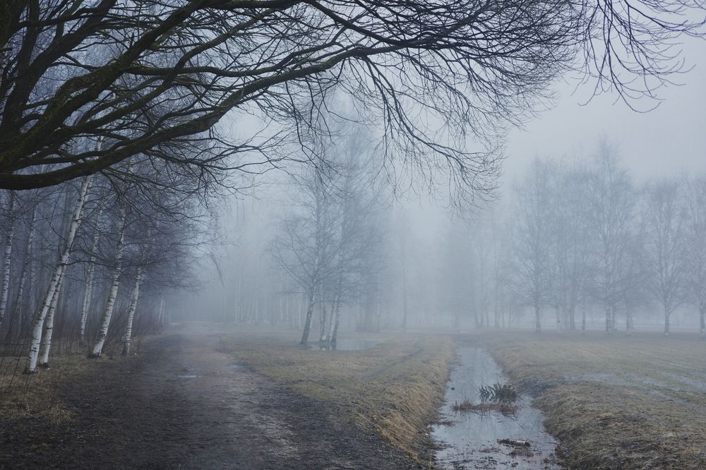 Photograph by Yana Egorova