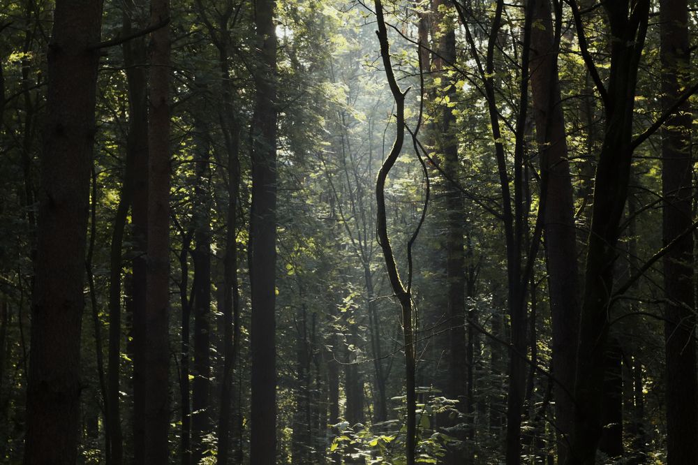 Photograph by Yana Egorova