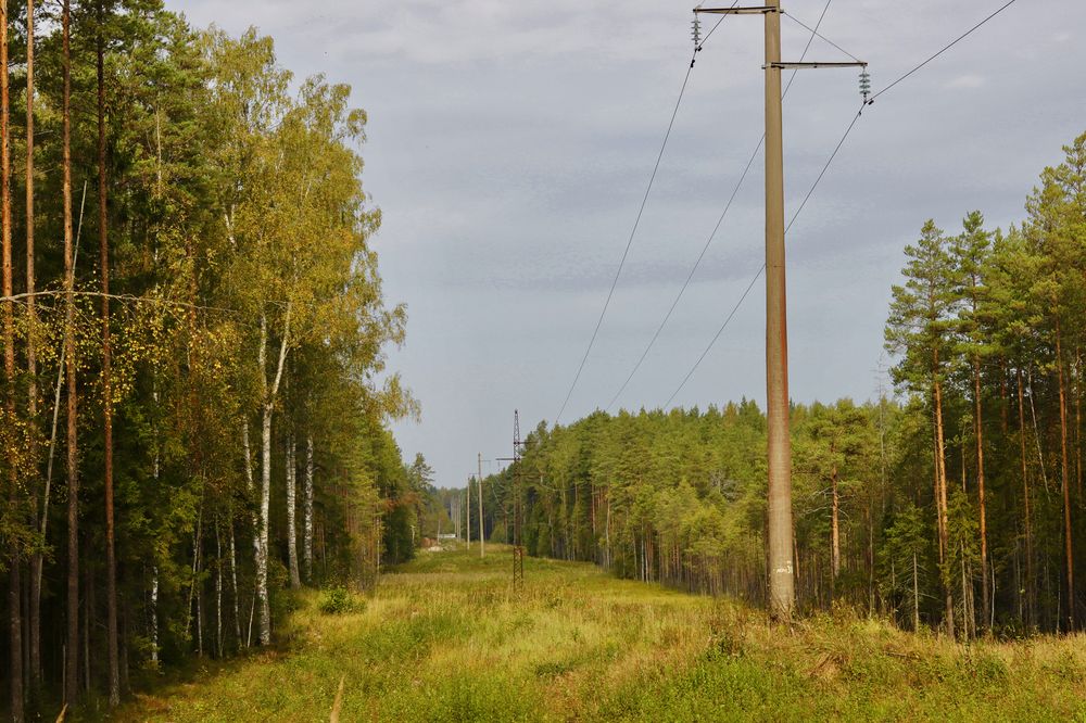 Photograph by Yana Egorova