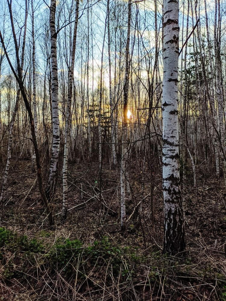 Photograph by Анна Андреевна