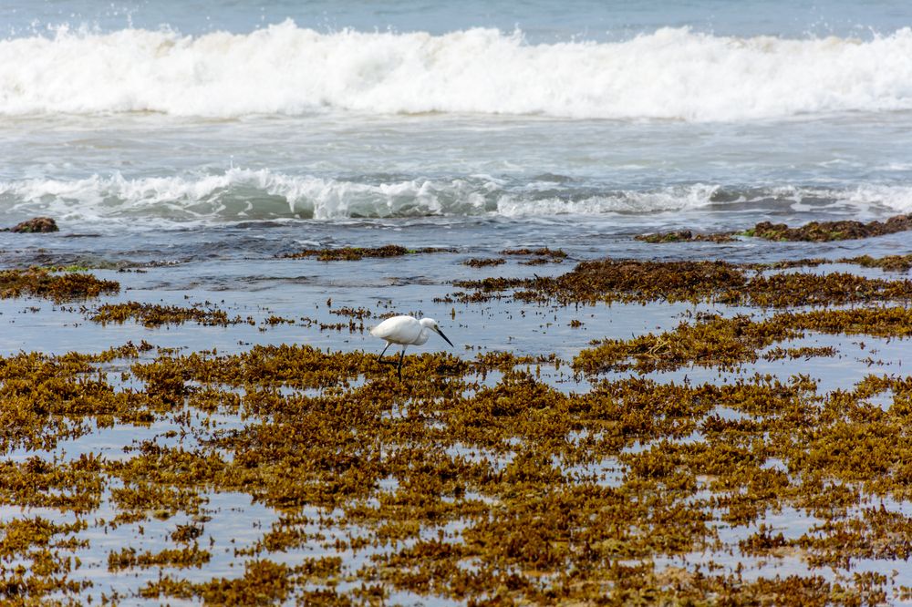 Photograph by Юлия Подлеснова