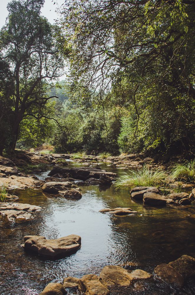 Photograph by Юлия Подлеснова