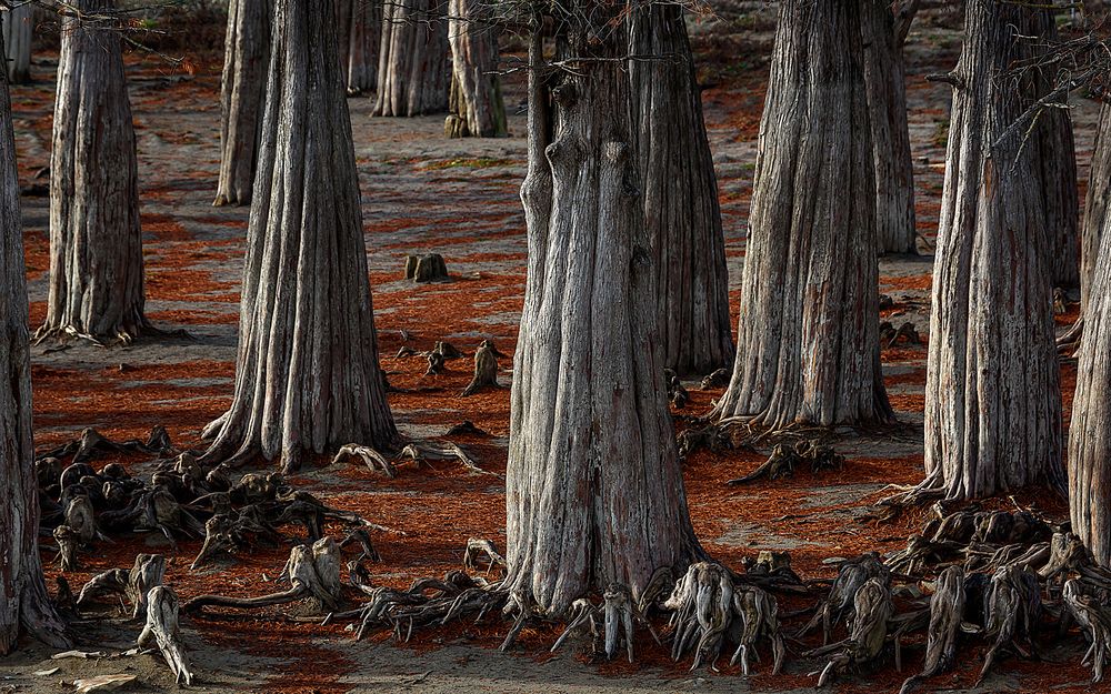 Photograph by Валерий