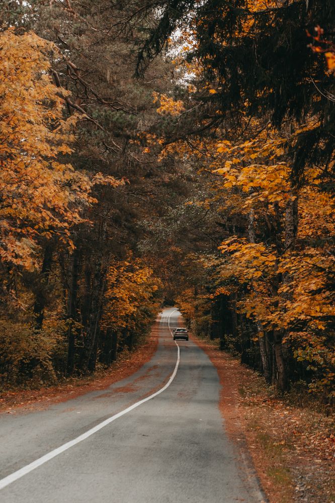 Photograph by Олеся Чернова