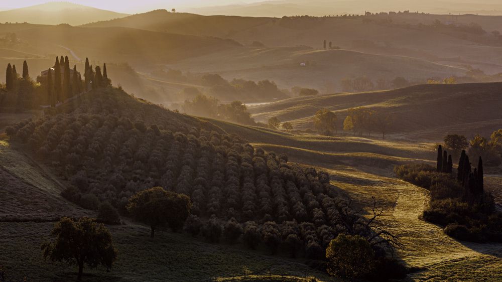 Photograph by Елена Захарова