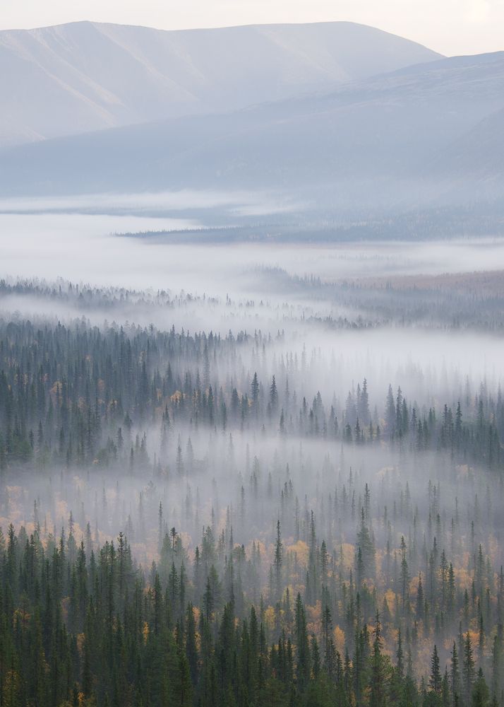 Фотография автора Olga Belousova