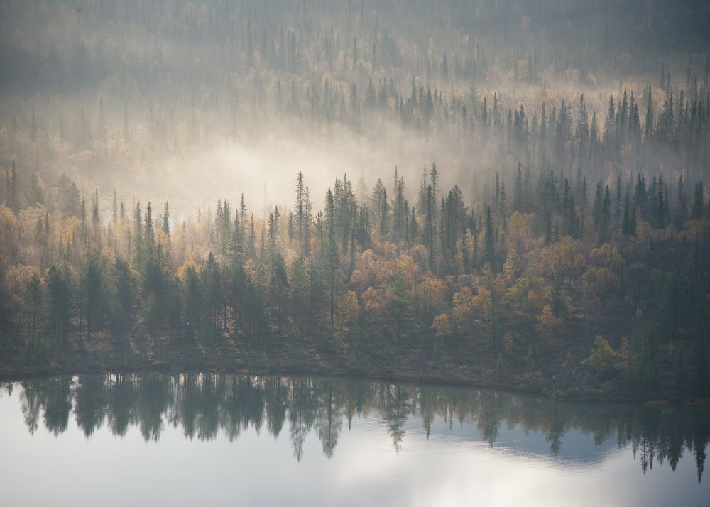 Photograph by Ольга Белоусова