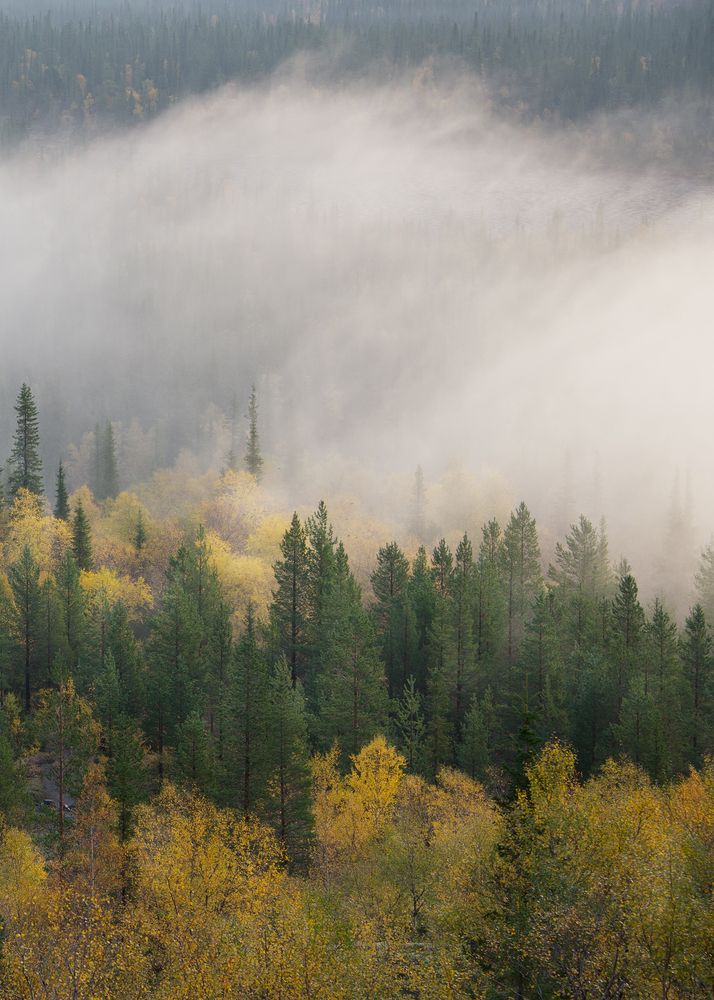 Фотография автора Ольга Белоусова