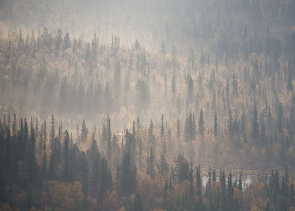 Фотография автора Ольга Белоусова
