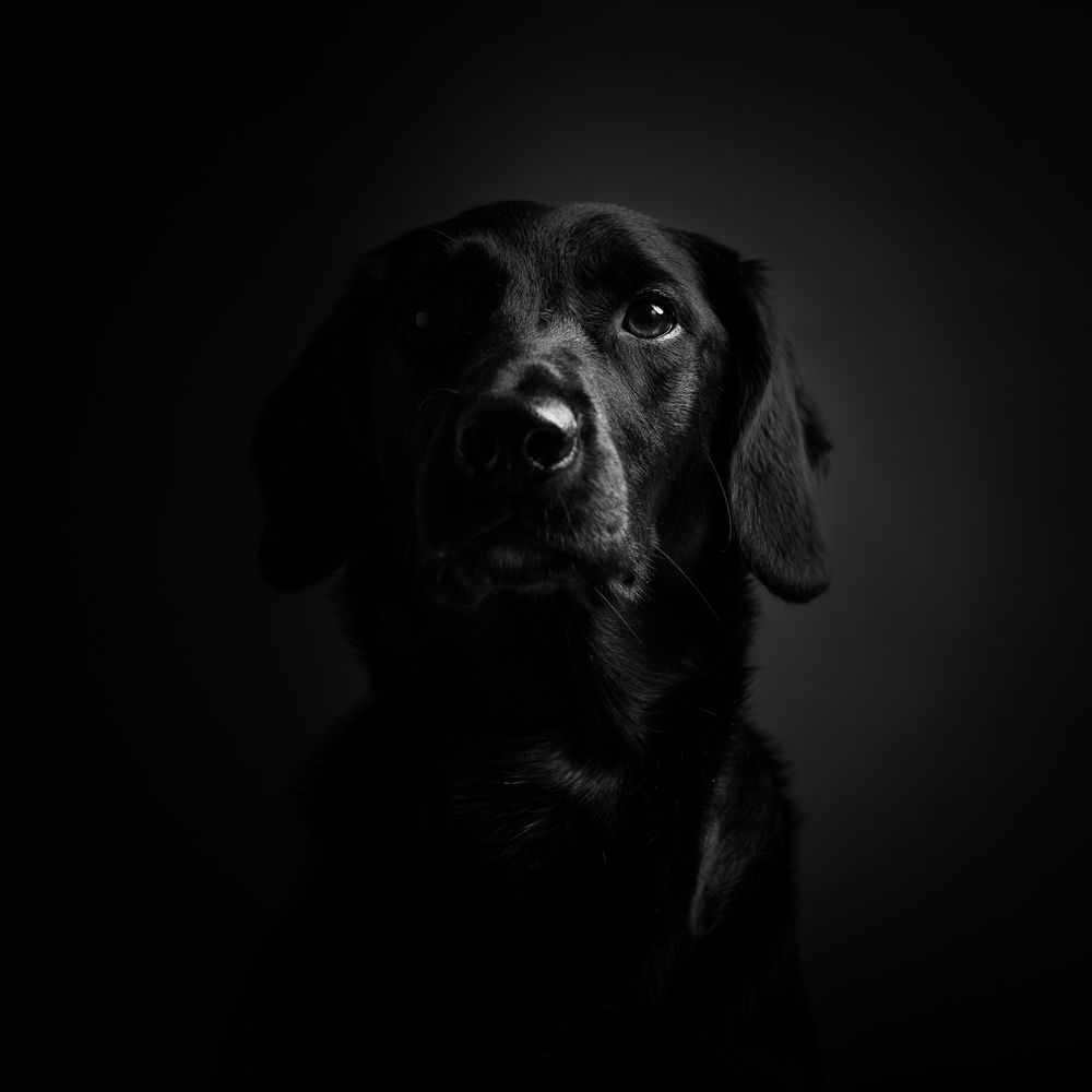 Фотография автора Jaroslava Žigraiová