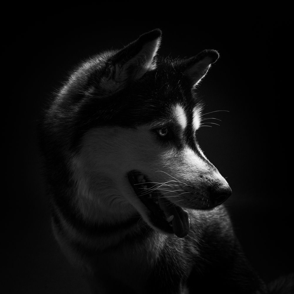 Фотография автора Jaroslava Žigraiová