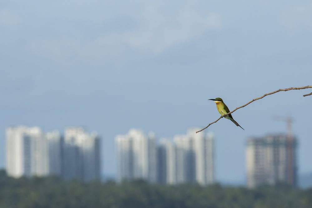 Фотография автора Anandhu M